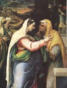 The Visitation (mk05), Sebastiano del Piombo